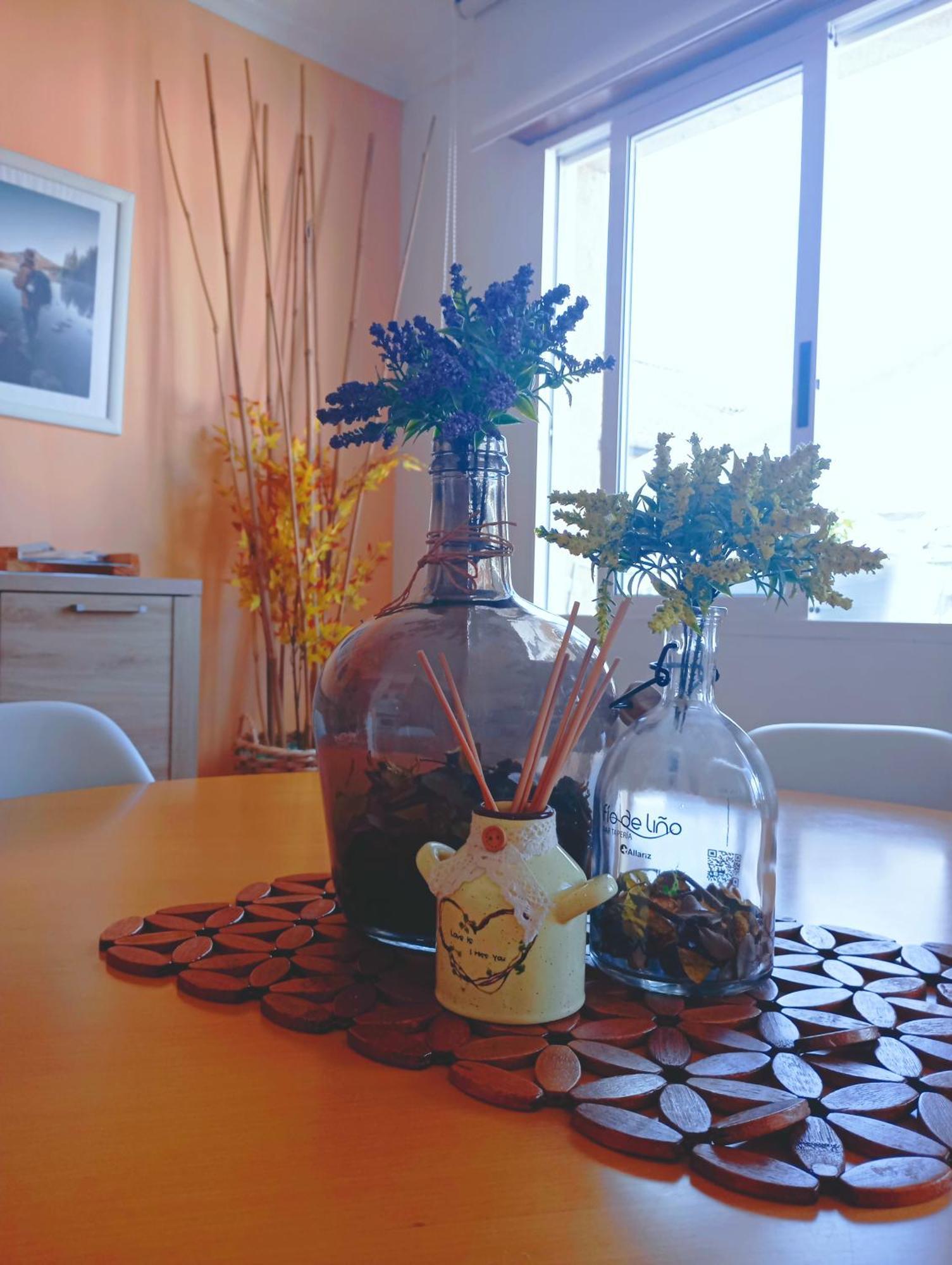 Apartamento Sobreira En Centro Allariz Con Wifi Екстериор снимка
